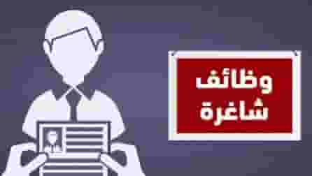 مطلوب مدبرة منزل للعمل 