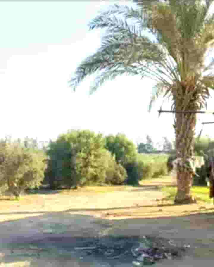 40 acre farm for sale on Alexandria desert road 40 acre farm for sale on Alexandria desert road