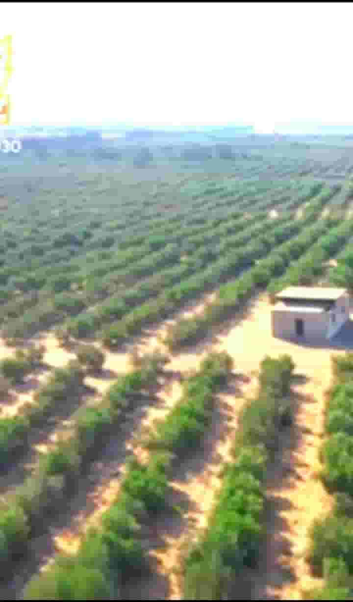 145-acre farm for sale on Alexandria Desert Road 145-acre farm for sale on Alexandria Desert Road